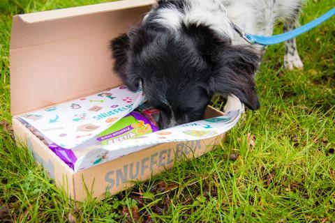 Snuffelbox